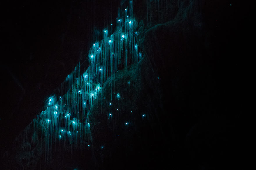 Glow Worms Turn New Zealand Cave Into Starry Night And I Spent Past Year Photographing It (Part 2)