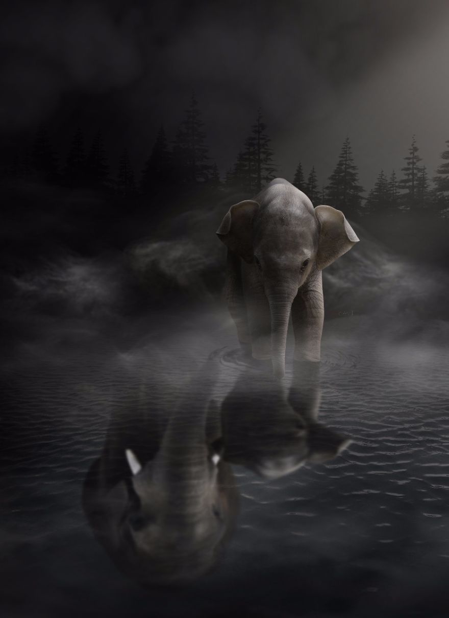 I Create Images That Tell Stories