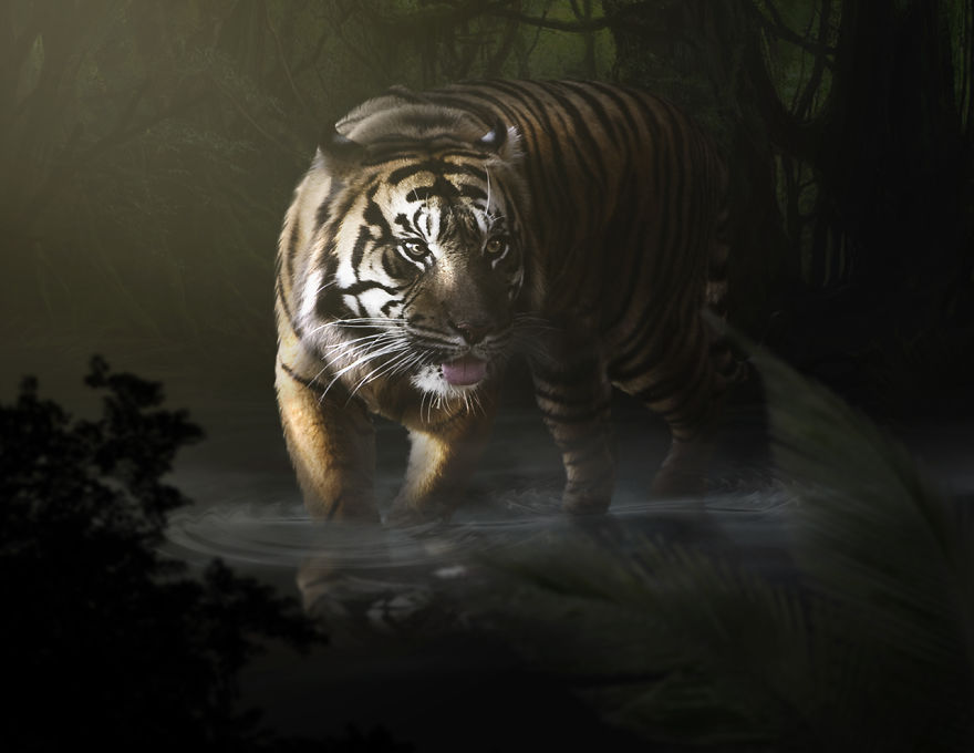 I Create Images That Tell Stories I Create Images That Tell Stories