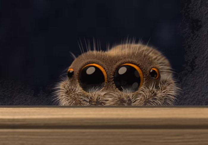Lucas The Adorable Spider That Cured Everyone’s Arachnophobia Is Back And Wants To Come Inside Lucas The Adorable Spider That Cured Everyone’s Arachnophobia Is Back And Wants To Come Inside