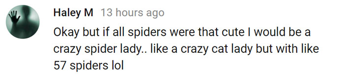 Lucas The Adorable Spider That Cured Everyone’s Arachnophobia Is Back And Wants To Come Inside Lucas The Adorable Spider That Cured Everyone’s Arachnophobia Is Back And Wants To Come Inside