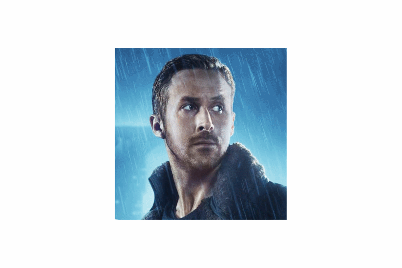 Lineart Portrait Illustrations