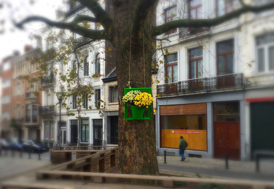 I Install Colorful Flowers In Wooden Frames All Over Cities I Install Colorful Flowers In Wooden Frames All Over Cities