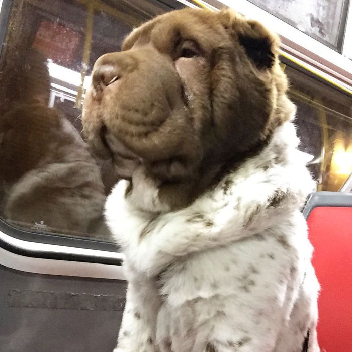 Monday Morning Commute