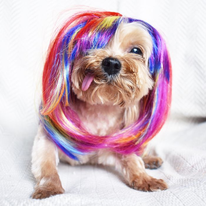 The Party Isn't Over Till I Say It's Over!