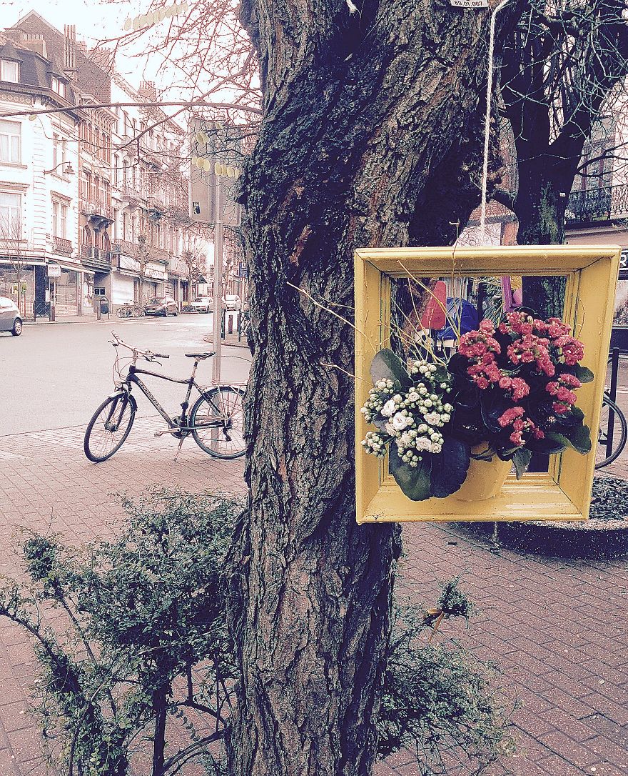 I Install Colorful Flowers In Wooden Frames All Over Cities
