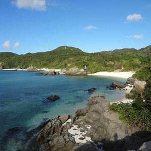 marlene-a-albrecht avatar