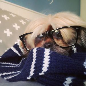 joshgradwell17 avatar