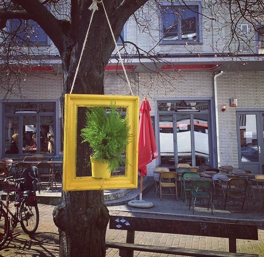 I Install Colorful Flowers In Wooden Frames All Over Cities I Install Colorful Flowers In Wooden Frames All Over Cities