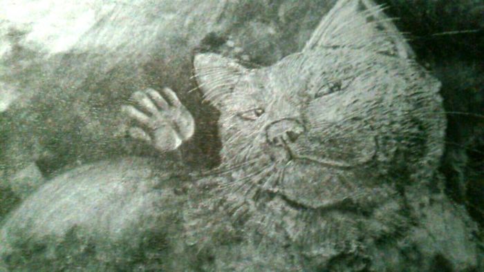 Carpet-Drawings-Agito0219-Japan