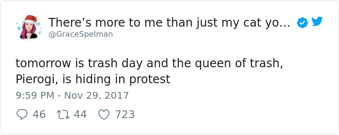 cat-hiding-photo-pierogi-grace-spelman-1