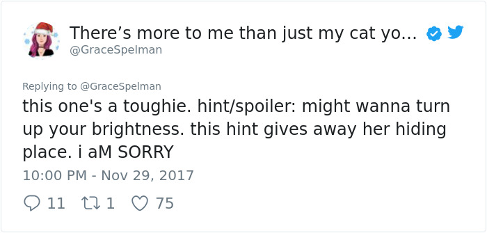 cat-hiding-photo-pierogi-grace-spelman-25