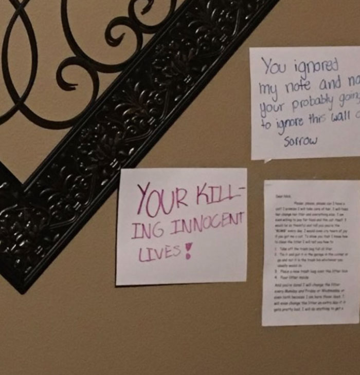 Daughter Tries To Guilt-Trip Her Dad Into Getting Her A Kitty, Gets The Best Response Daughter Tries To Guilt-Trip Her Dad Into Getting Her A Kitty, Gets The Best Response