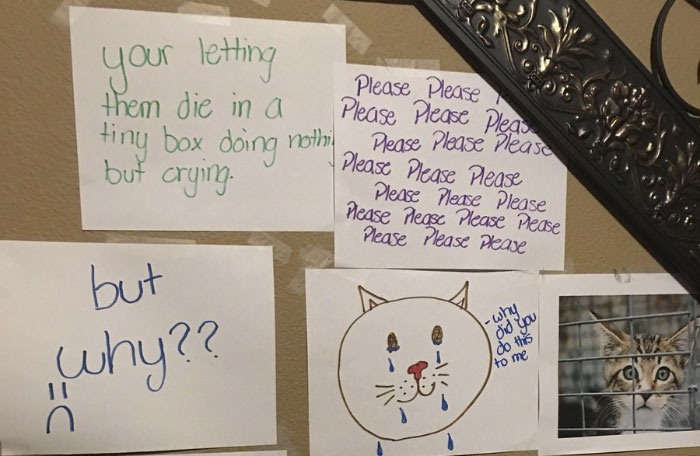 Daughter Tries To Guilt-Trip Her Dad Into Getting Her A Kitty, Gets The Best Response Daughter Tries To Guilt-Trip Her Dad Into Getting Her A Kitty, Gets The Best Response