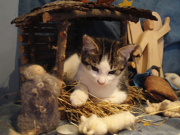 Just Wrecking The Nativity