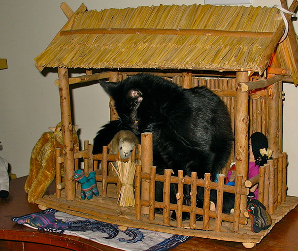 You Smell Kinda Funny