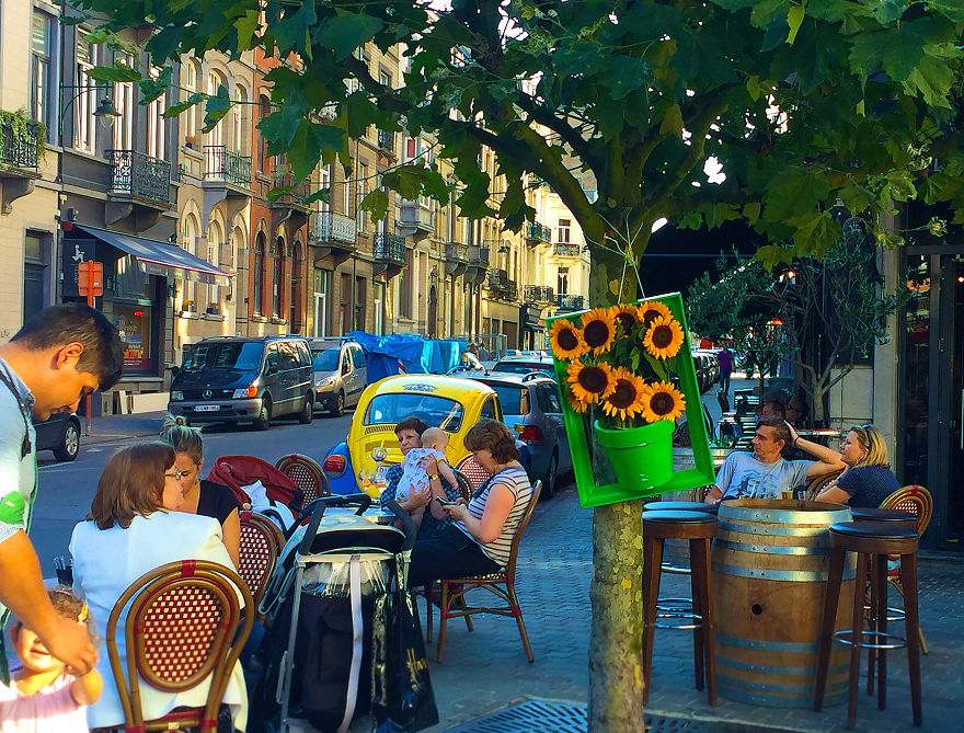 I Install Colorful Flowers In Wooden Frames All Over Cities