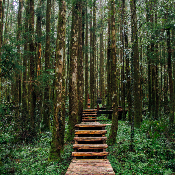 Taiwan Is A Photographer’s Paradise