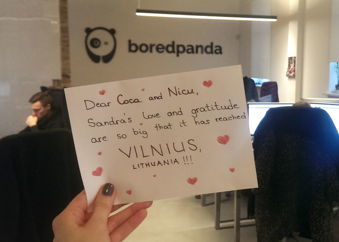 Pandas, Please Help Me Surprise My Hardworking Parents With Notes From All Over The World!