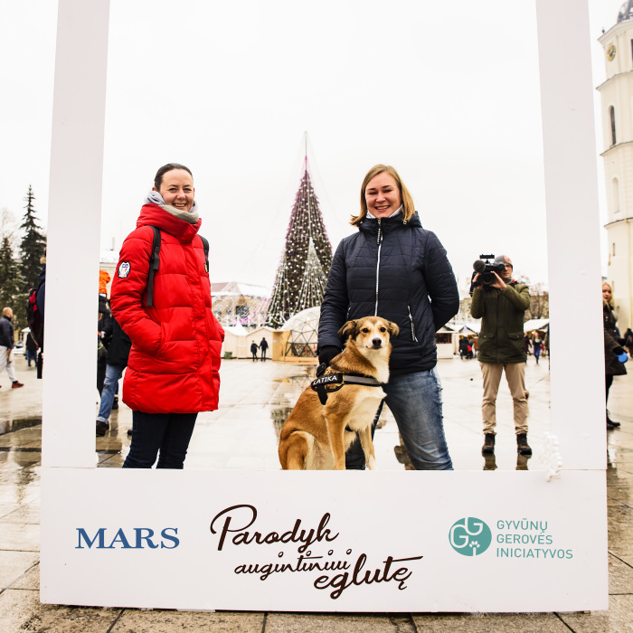 1 Like = 1 Food Serving For Shelter Animals