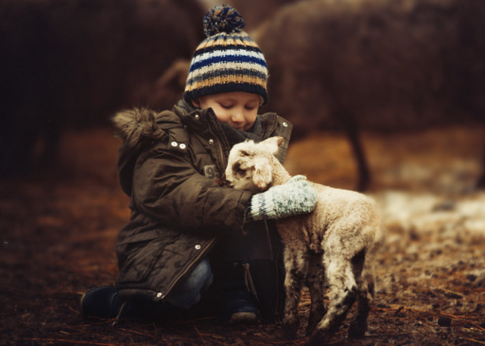 I Photographed Foster Children Every Month Through One Year To Show Importance Of Family And Home