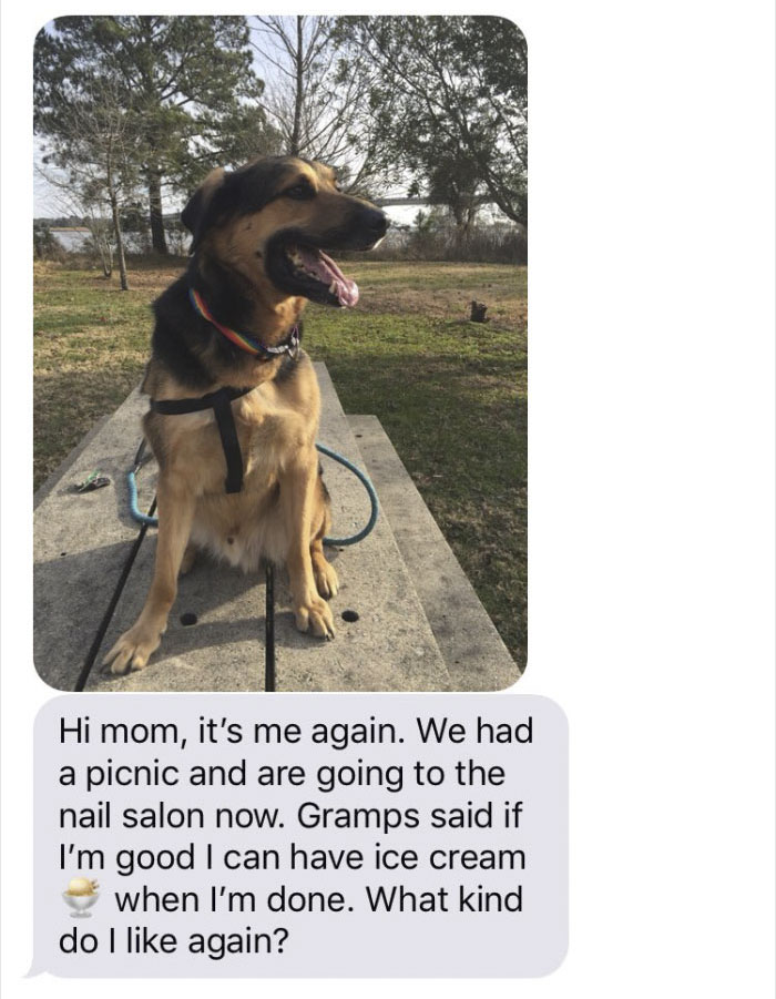 Woman Leaves Her Dog With Dad, Receives The Best Texts From Him