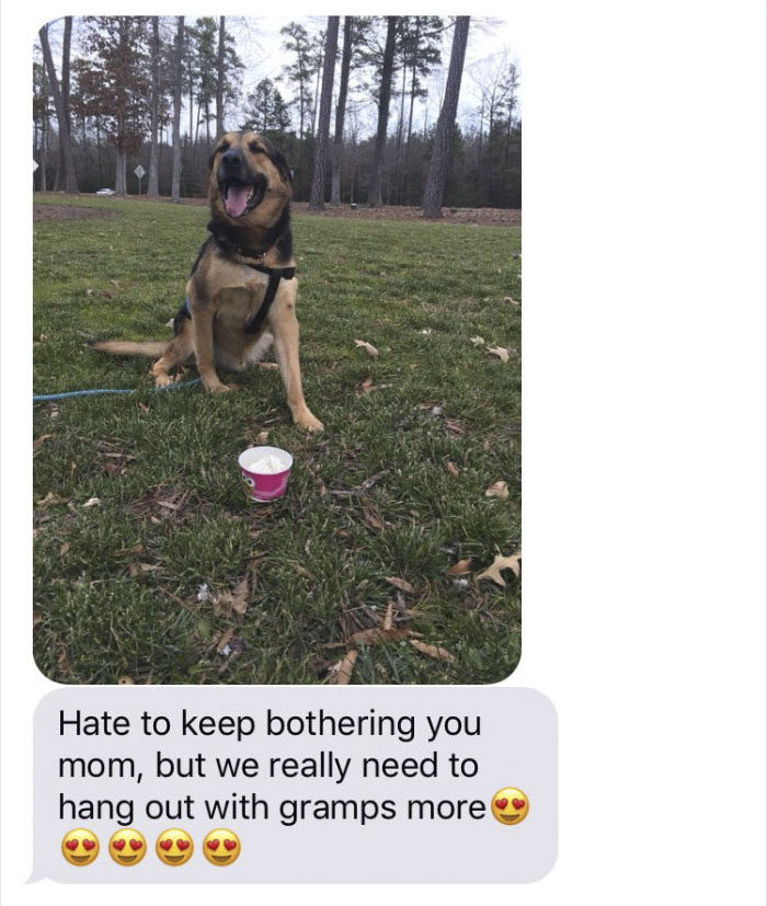 Woman Leaves Her Dog With Dad, Receives The Best Texts From Him