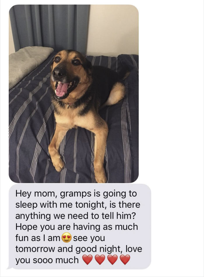 Woman Leaves Her Dog With Dad, Receives The Best Texts From Him Woman Leaves Her Dog With Dad, Receives The Best Texts From Him