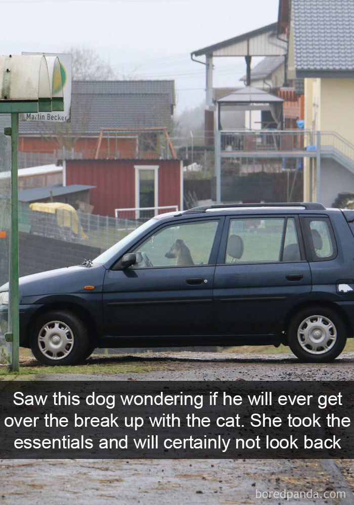 Dogs-Funny-Snapchats