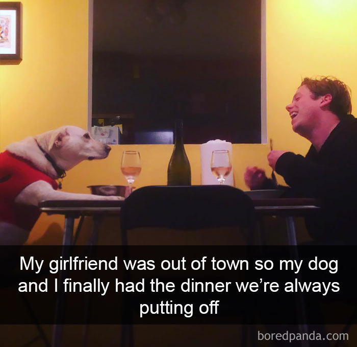 Dogs-Funny-Snapchats