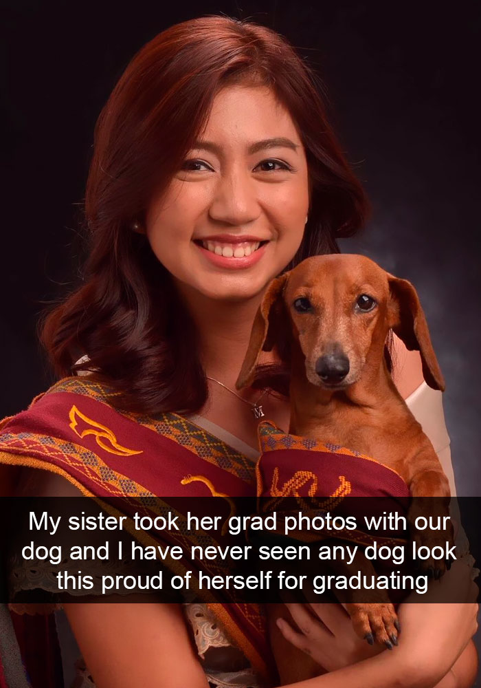 Dogs-Funny-Snapchats