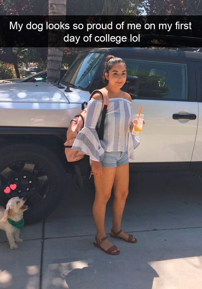 Dogs-Funny-Snapchats