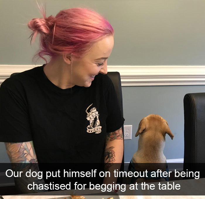 Dogs-Funny-Snapchats