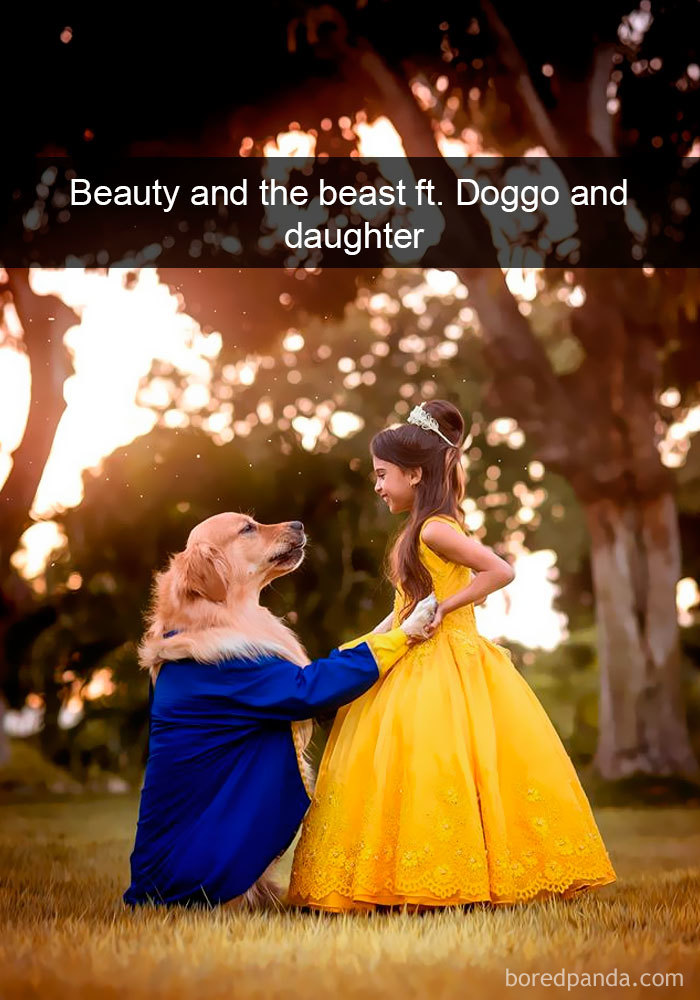 Dogs-Funny-Snapchats