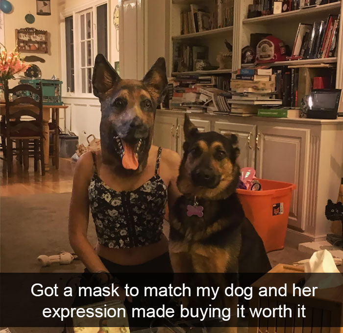 Dogs-Funny-Snapchats