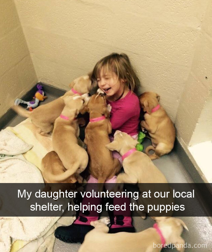 Dogs-Funny-Snapchats