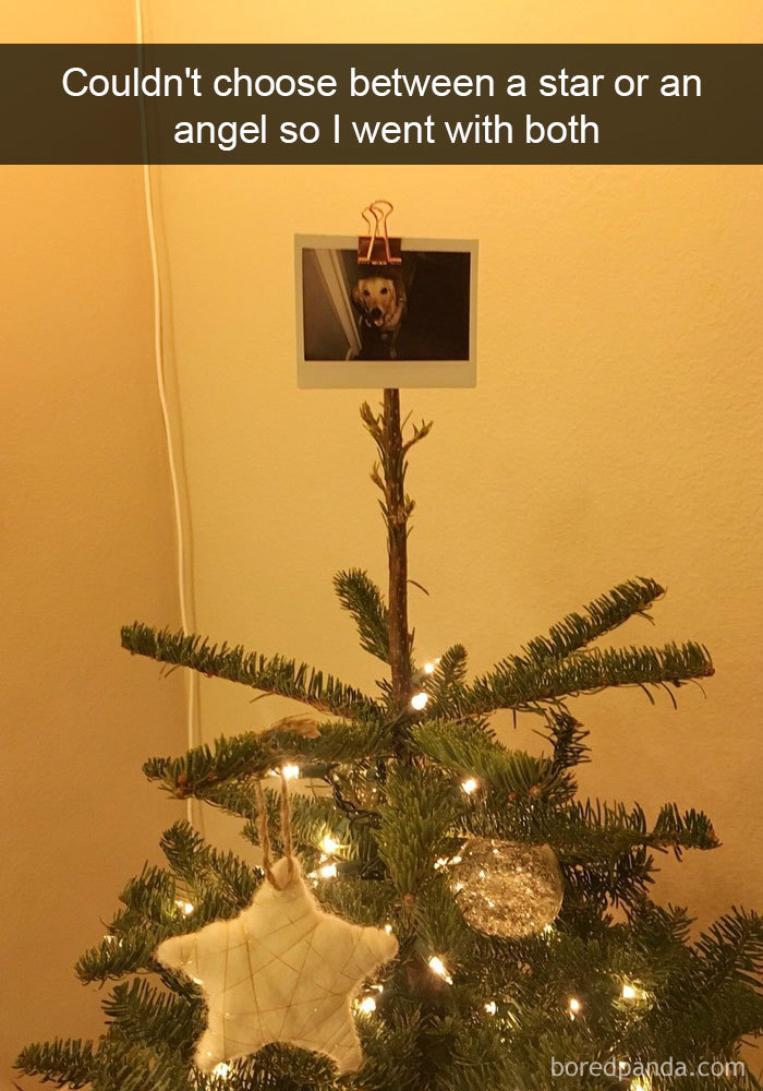 Dogs-Funny-Snapchats