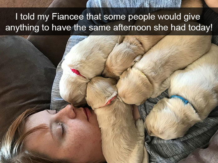 Dogs-Funny-Snapchats