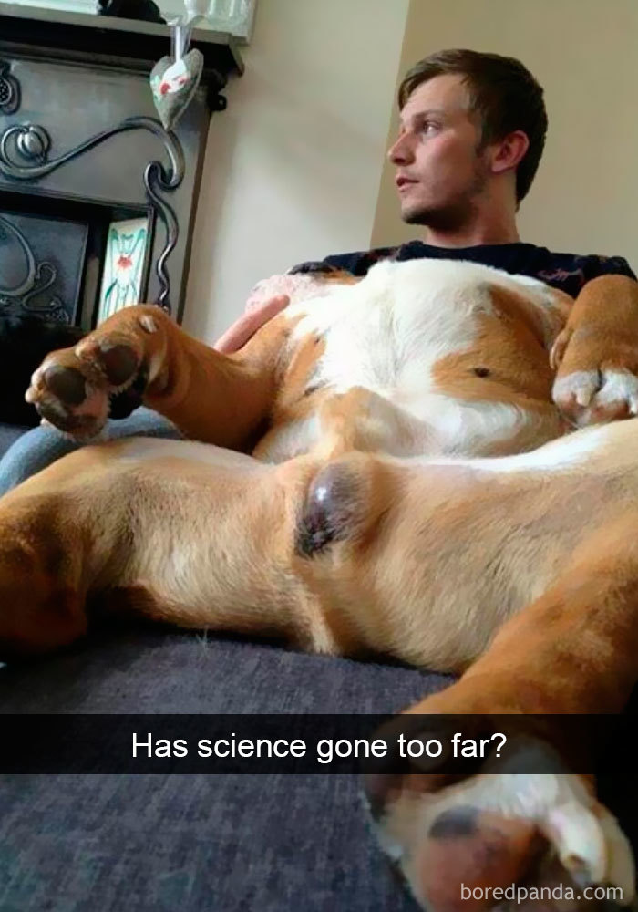 Funny Dog Snap