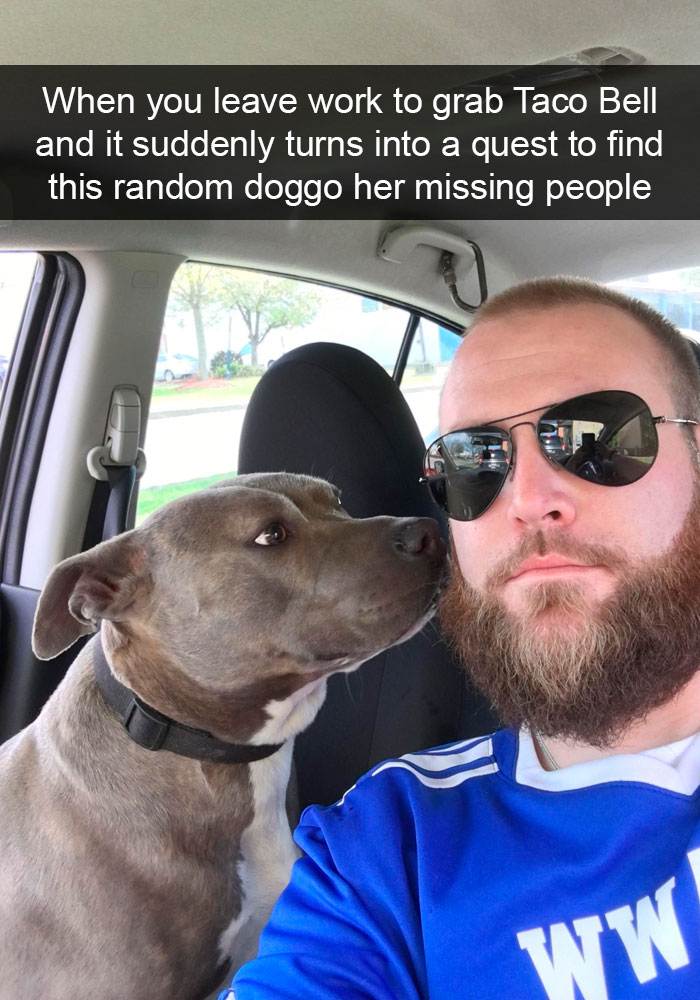 Dogs-Funny-Snapchats