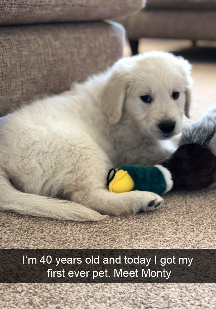 Dogs-Funny-Snapchats