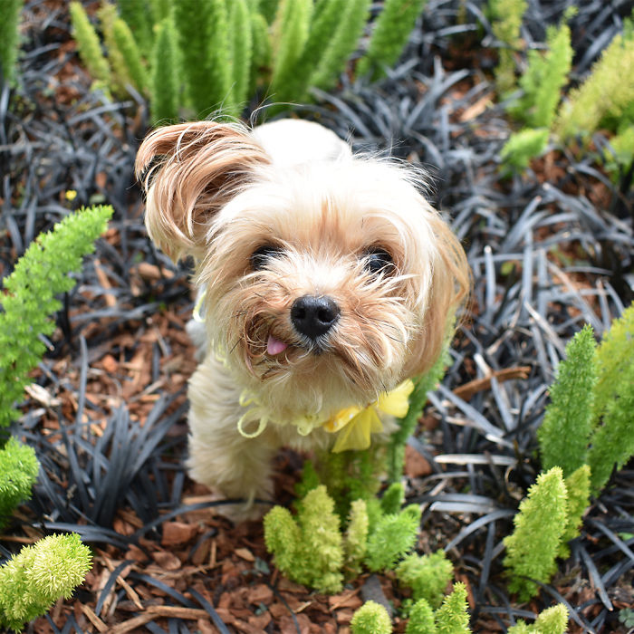 Does My Nose Look Big Here?