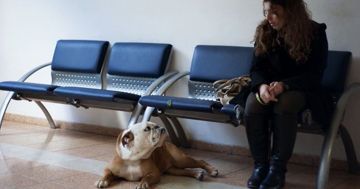 I Have Seen The Pure Love Between Us And Them