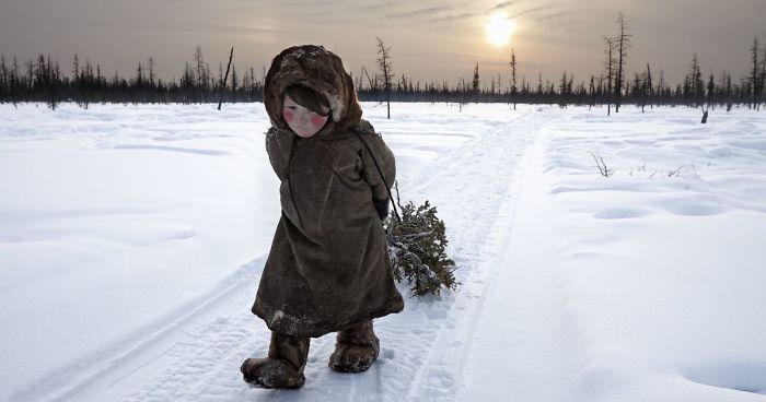 The Best Pictures Of 2017 Siena International Photo Awards Have Been Announced, And They’re Truly Powerful