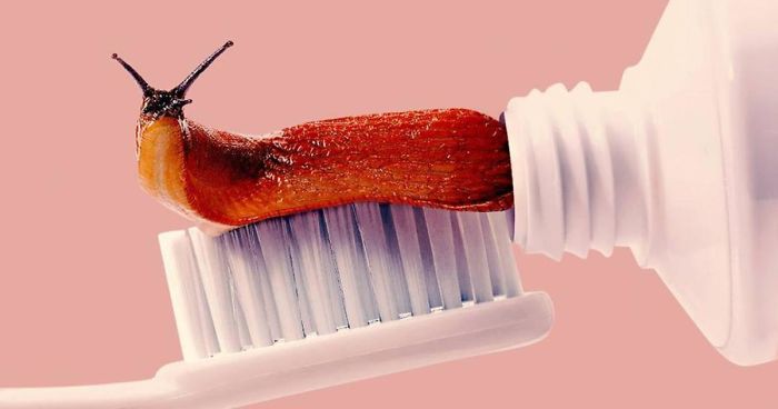 This Artist Combines Unexpected Objects Into Mind-Boggling Images