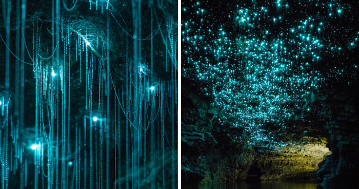 Glow Worms Turn New Zealand Cave Into Starry Night And I Spent Past Year Photographing It (Part 2)