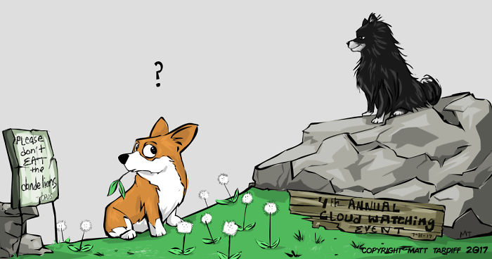 You And The Pets You Love