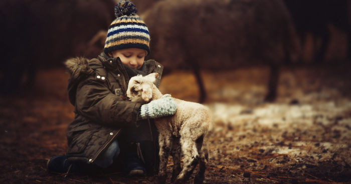 I Photographed Foster Children Every Month Through One Year To Show Importance Of Family And Home