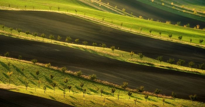 I Traveled To The Czech Republic To Photograph Moravian-Tuscany In Autumn