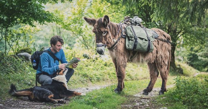 We Bought A Donkey And Took Him On A Road Trip